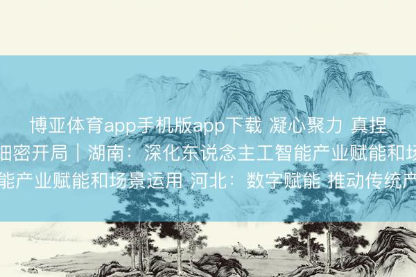 博亚体育app手机版app下载 凝心聚力 真捏实干 尽力竣事“十五五”细密开局｜湖南：深化东说念主工智能产业赋能和场景运用 河北：数字赋能 推动传统产业转型升级