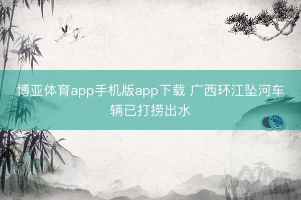博亚体育app手机版app下载 广西环江坠河车辆已打捞出水