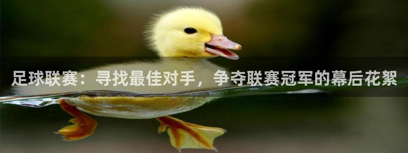 九游体育网站：足球联赛：寻找最佳对手，争夺联赛冠军的幕后花絮