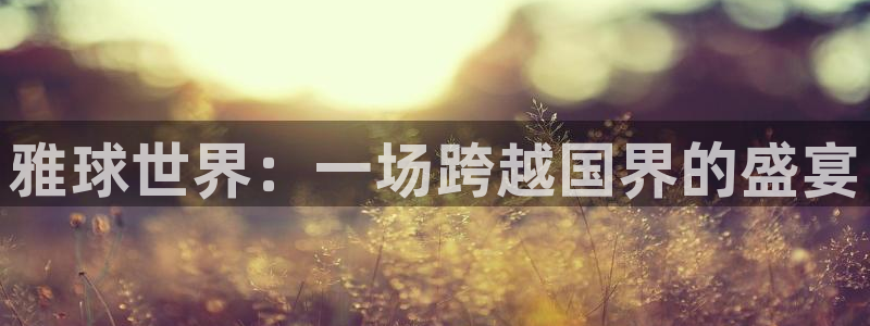 九游体育登录：雅球世界：一场跨越国界的盛宴