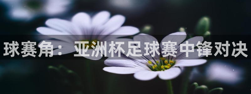 九游体育网址：球赛角：亚洲杯足球赛中锋对决