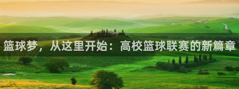 九游体育app：篮球梦，从这里开始：高校篮球联赛的新篇章