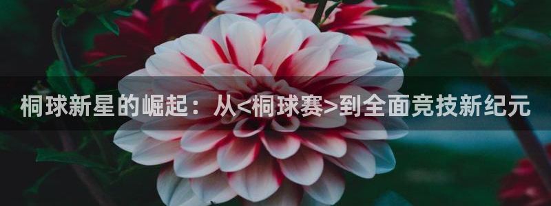 九游体育在线：桐球新星的崛起：从<桐球赛>到全面竞技新纪元